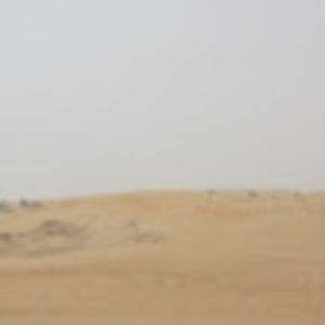 Meet your Posher, Tamika